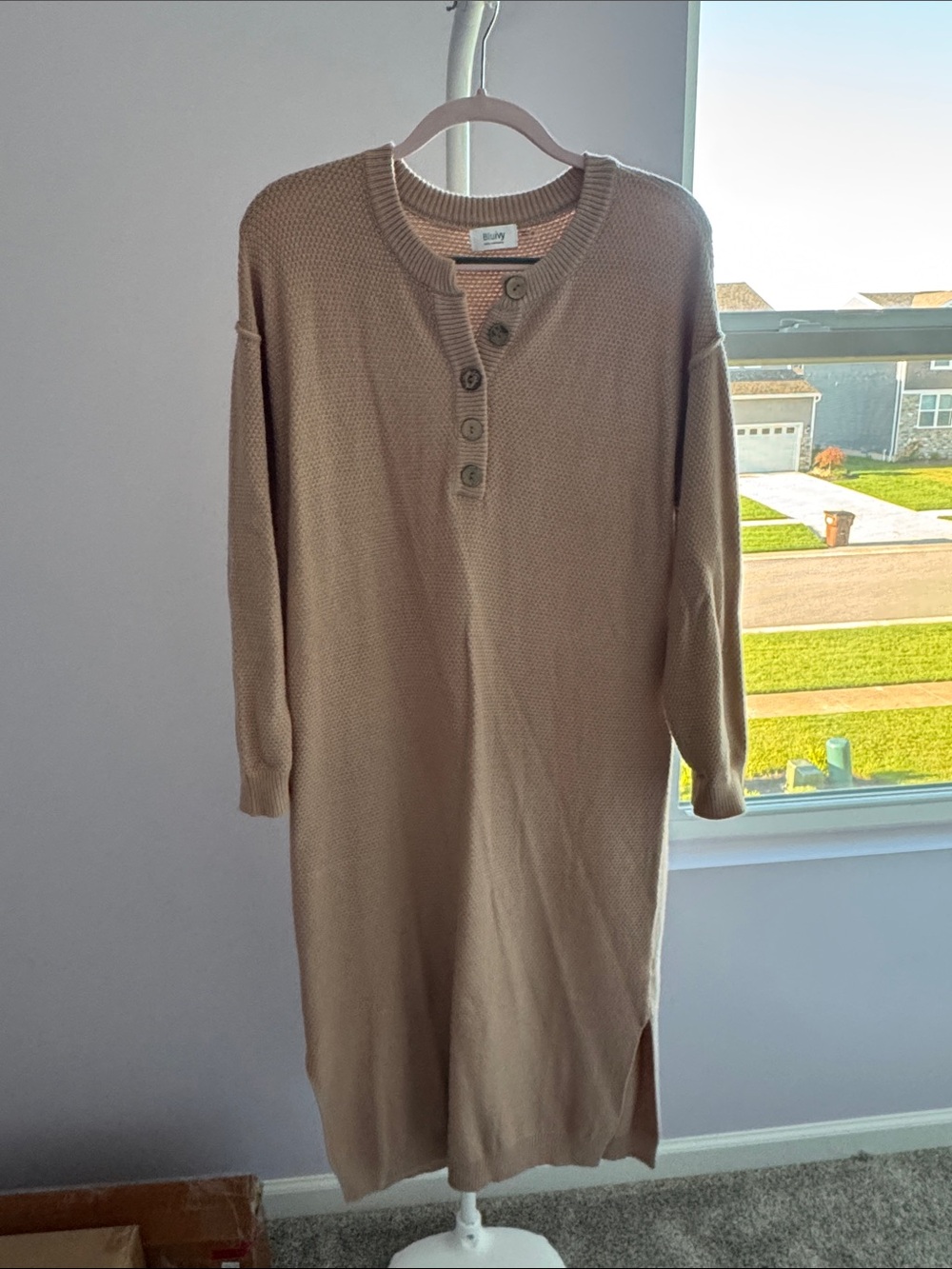 Bluivy Maternity dress